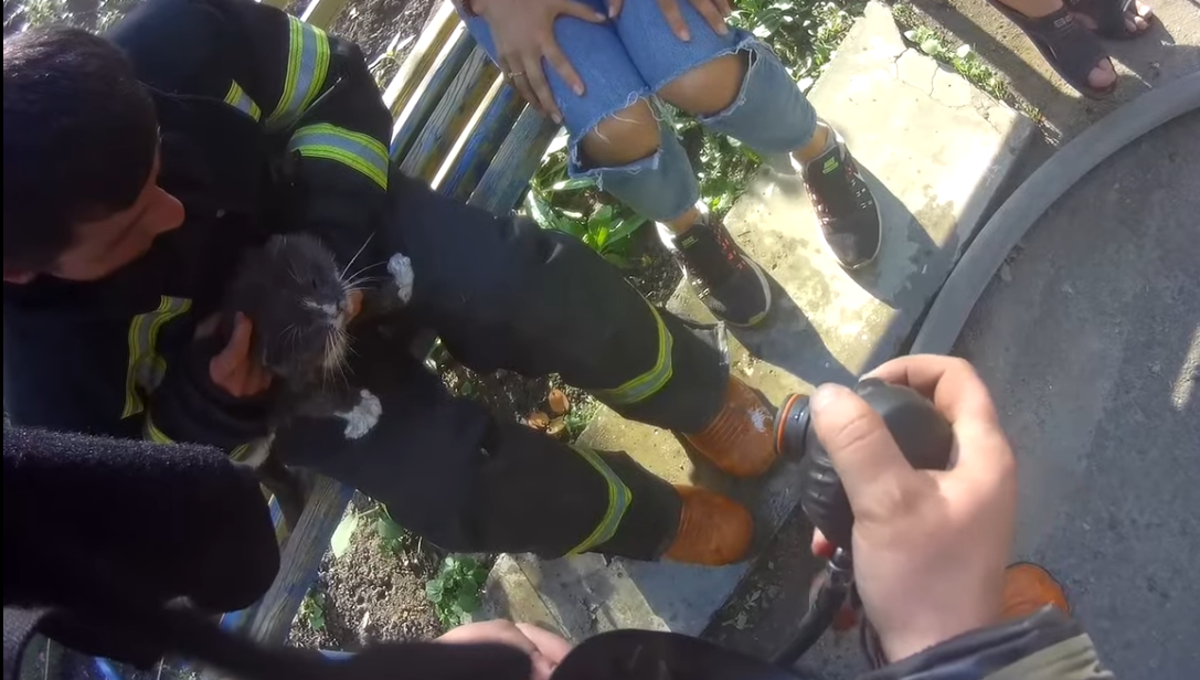 На пожаре в Харькове спасли женщину и кота